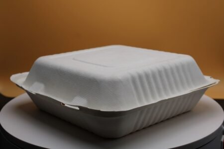 Clamshell Sugarcane Bagasse Food Container 8x8" 3 Cpt